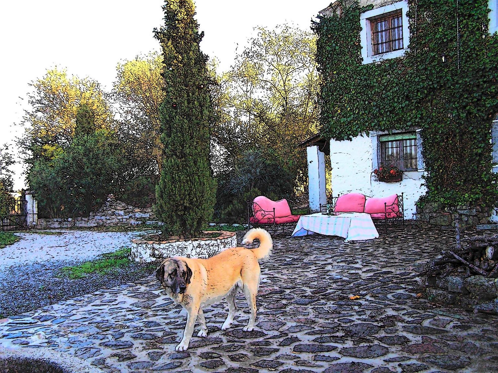 Casa Rural Cortijo Del Zoco Bajo Pozoblanco Exterior photo